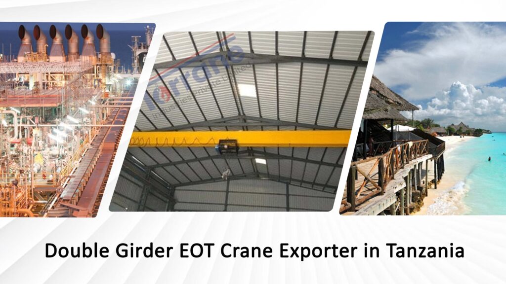 Double Girder EOT Crane Exporter in Tanzania