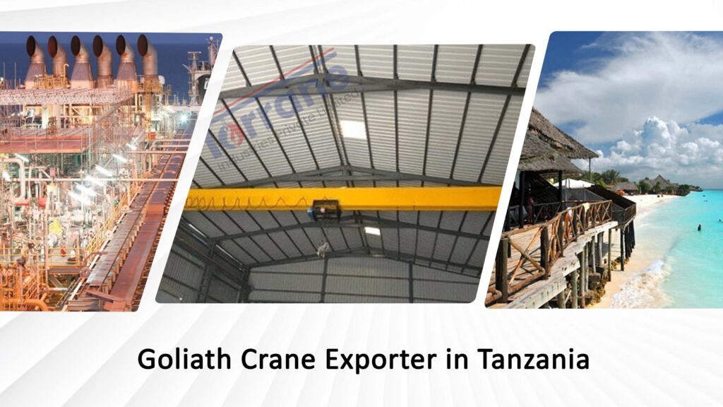 Goliath Crane Exporter in Tanzania